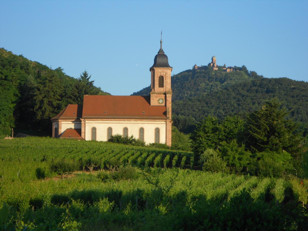 Bed and Breakfast Au Coeur Du Vignoble Оршвіллер Екстер'єр фото